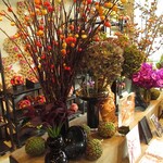 Nicolai Bergmann NOMU - 