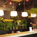 Nicolai Bergmann NOMU - 