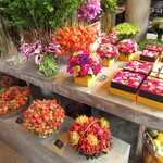 Nicolai Bergmann NOMU - 