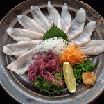 海の見えるカウンター寿司 鮨屋台 - アラ（クエ）薄造り