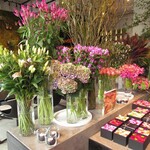 Nicolai Bergmann NOMU - 