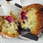 Nicolai Bergmann NOMU - 