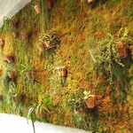 Nicolai Bergmann NOMU - 