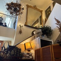 VELVET VIRGO -  VELVET VIRGO -