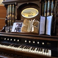 VELVET VIRGO -  VELVET VIRGO -