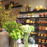 Nicolai Bergmann NOMU - 