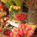 Nicolai Bergmann NOMU - 