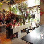 Nicolai Bergmann NOMU - 