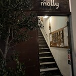 molly - 