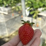 姫路ハートフル観光農園 - 