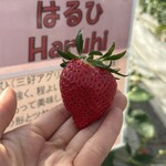 姫路ハートフル観光農園 - 