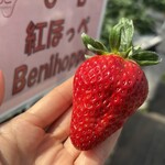 姫路ハートフル観光農園 - 