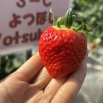 姫路ハートフル観光農園 - 