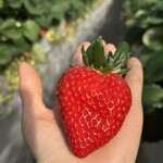 姫路ハートフル観光農園 - 