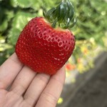 姫路ハートフル観光農園 - 