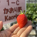 姫路ハートフル観光農園 - 