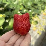 姫路ハートフル観光農園 - 