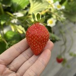 姫路ハートフル観光農園 - 