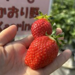 姫路ハートフル観光農園 - 