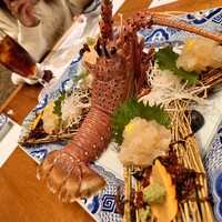 中納言 大阪駅前第3ビル店 - 伊勢海老活け造り