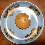 フジウ - リンツァー