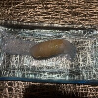 萌えぎ - 