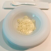 Plaiga TOKYO - 