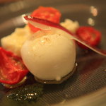 イル・クッチョロ - 