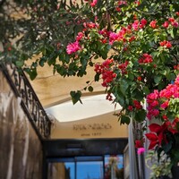 表参道バンブー - 