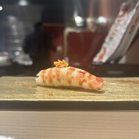 山桜 - 