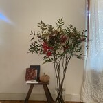 メツゲライクスダ - 参考写真、同じ日に届いた友達からのお花