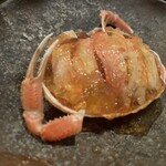 酒斎 伊とう - 