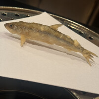 お座敷天婦羅 天政 丸ビル店 - 