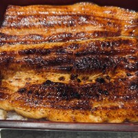 割烹蒲焼 横浜八十八 NEWoMan横浜店 - うな重　月丁（一尾）