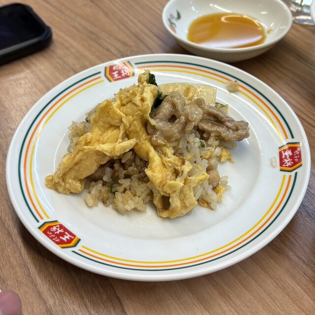 d466009江戸川 王将 13 - ロッド