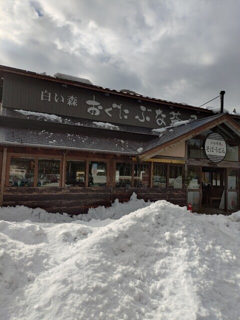 ぶな茶屋（道の駅白い森おぐに） - 小国（そば）の写真