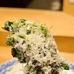 南青山 七鳥目 - 