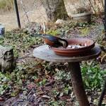 くつきそば 永昌庵 - 