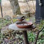 くつきそば 永昌庵 - 