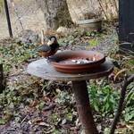 くつきそば 永昌庵 - 