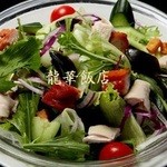 ryuukahantemmizonokuchiten - 五目野菜サラダ