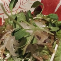 雪月花 大野店 - ～あっさりサラダ～