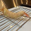 串揚げ串仙 - 