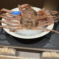 かにじぇんぬ 銀座 - 
