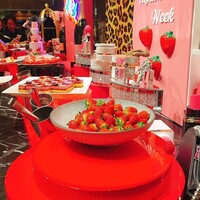 ロビーラウンジ 「マーブルラウンジ」 ヒルトン東京 - 