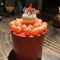 6 - 