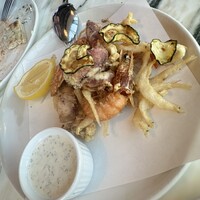 THE APOLLO - 