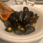 ヴィンチェロ - 