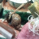 魯忍 - 蓬味噌田楽、唐墨大根、バイ貝潮煮