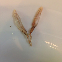 灯りの食邸 コカジヤ - ホタルイカの背骨抜いてません。それなりの料理屋ならキチンとしましょう